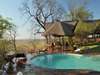 Muchenje Safari Lodge - Pool